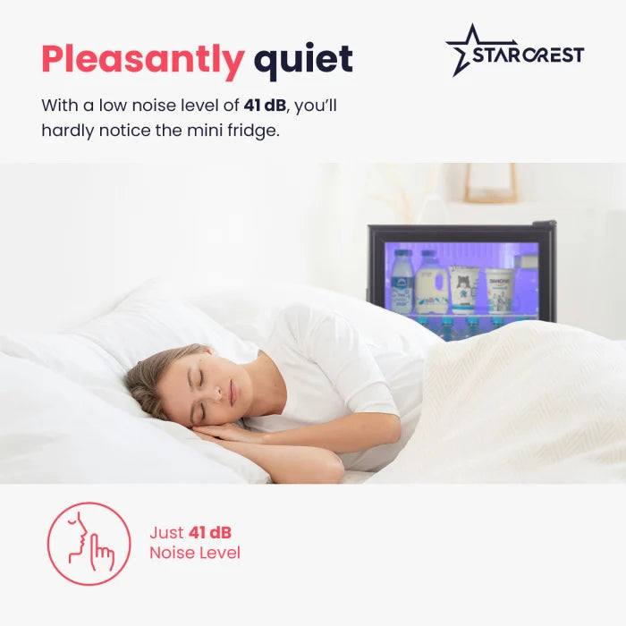 Frostera Hladnjak Small 46L